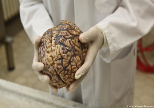 دراسة: مخ الانسان يسترجع الذكريات القديمة عند خوض تجارب جديدة