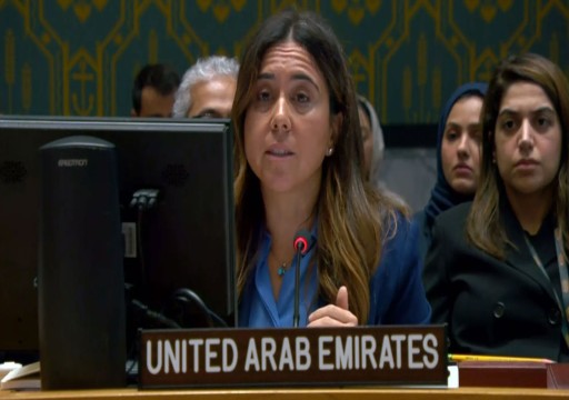 الإمارات تطالب عبر مجلس الأمن بالوقف الفوري لإطلاق النار في غزة