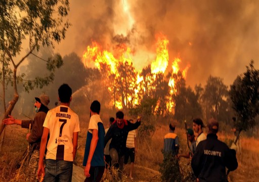 السلطات الجزائرية تعلن السيطرة على غالبية حرائق الغابات