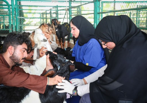 "البيئة" تعلن وضع خطة متكاملة استعداداً لموسم الأضاحي