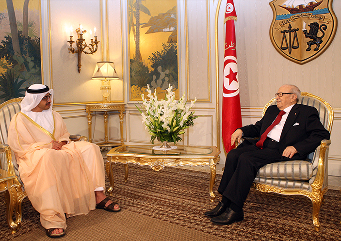الإمارات تؤكد دعمها لتونس سياسيا واقتصاديا                            