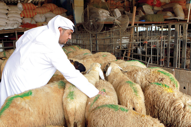 15 ألف و 700 أضحية في يومي العيد الأولين في أبوظبي